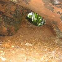 Höhlenfauna02.jpg